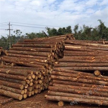 防汛杉木桩 胜洁木业 2米杉木桩施工