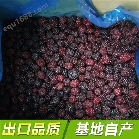 本地速冻黑莓配送青 岛黑 莓批发其他品类果蔬净菜厂 家实惠经济