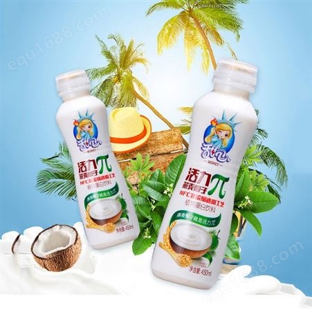 燕麦椰子植物蛋白饮品450ml瓶装果味饮料商超渠道