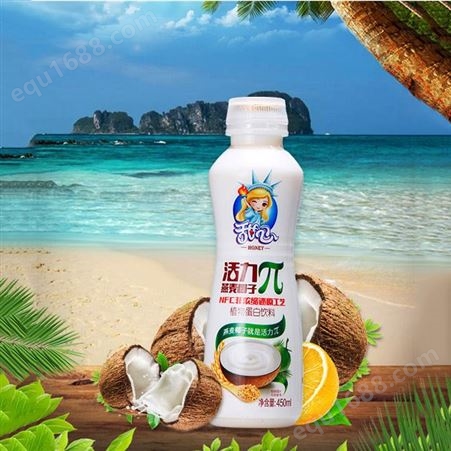 燕麦椰子植物蛋白饮品450ml瓶装果味饮料商超渠道
