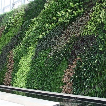 室内垂直绿化 植物隔断墙 金森