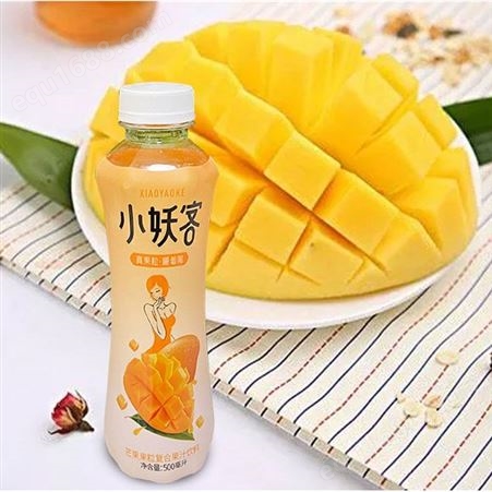 芒果果粒复合果汁饮料500ml夏季饮品商超渠道