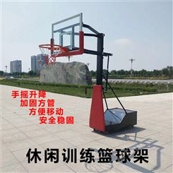 户外青少年室外篮球架 可升降移动安全稳固 贰林教学定制