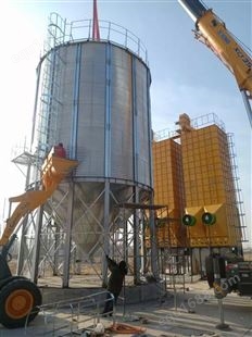 20吨水稻玉米谷物烘干机配置500立方粮食钢板仓和上粮提升机