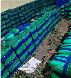 福建漳州蔬菜包装袋保鲜袋娃娃菜包装袋莴笋保鲜袋包装纸138,91857511