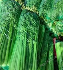福建漳州蔬菜包装袋保鲜袋娃娃菜包装袋莴笋保鲜袋包装纸138,91857511