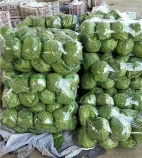 兰州蔬菜包装袋大白菜保鲜袋甘蓝包装袋莴笋保鲜袋139,19031250