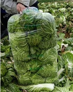 兰州蔬菜包装袋大白菜保鲜袋甘蓝包装袋莴笋保鲜袋139,19031250