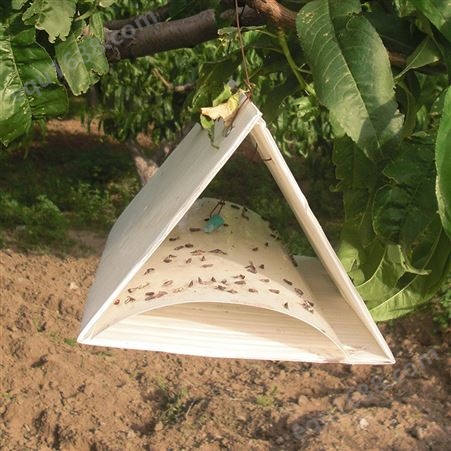 三角形诱捕器果园茶叶蔬菜基地三角屋诱捕器