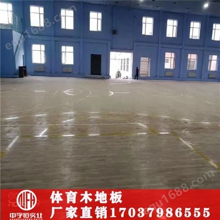 广州体育木地板   深圳运动木地板  广东体育馆地板   篮球馆地板