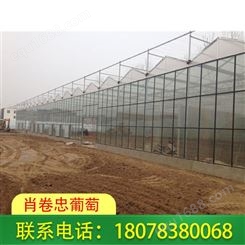 广西桂林温室大棚厂家积累多年制作经验