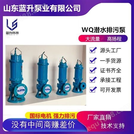 WQ潜水排污泵 高扬程 大流量 工程污水泵 蓝升泵业 支持定制