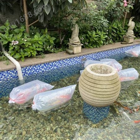 上海大型景观水池净化系统设计 施工