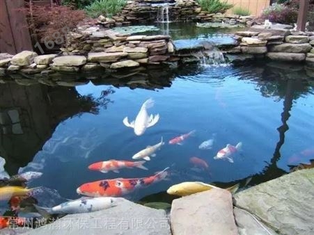 温州市家庭鱼池过滤系统设计改造