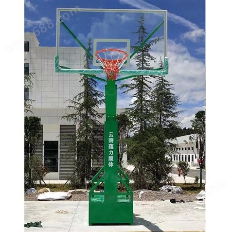 蕴力 移动箱式篮球架 成人标准室外可移动球架 加厚材质 抗风耐锈