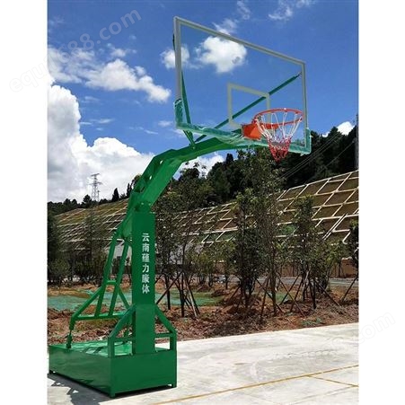 蕴力 移动箱式篮球架 成人标准室外可移动球架 加厚材质 抗风耐锈