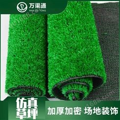 广西南宁厂家直发仿真塑料草坪卷 人造草坪 户外运动场草坪地毯