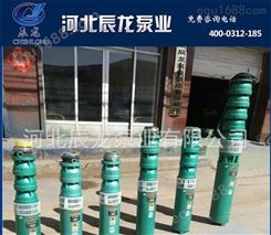 辰龙牌QJ深井潜水电泵潜水泵