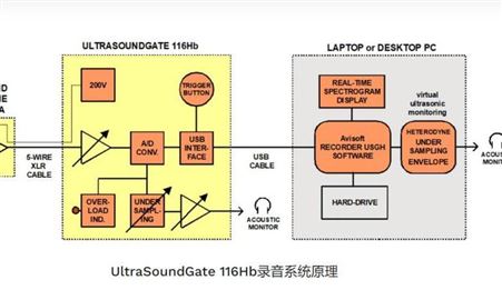 超声波麦克风UltraSoundGate 116Hb